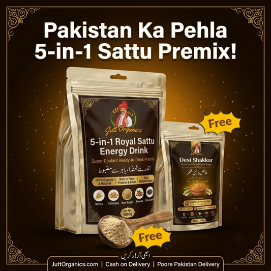 Instant Sattu Drink Premix - 5-in-1 Royal Plant Protein & Gut Energy